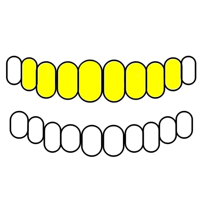 Gold Plated over 925 Silver All Open Face Custom Grillz Bling Cartel Admin Rings