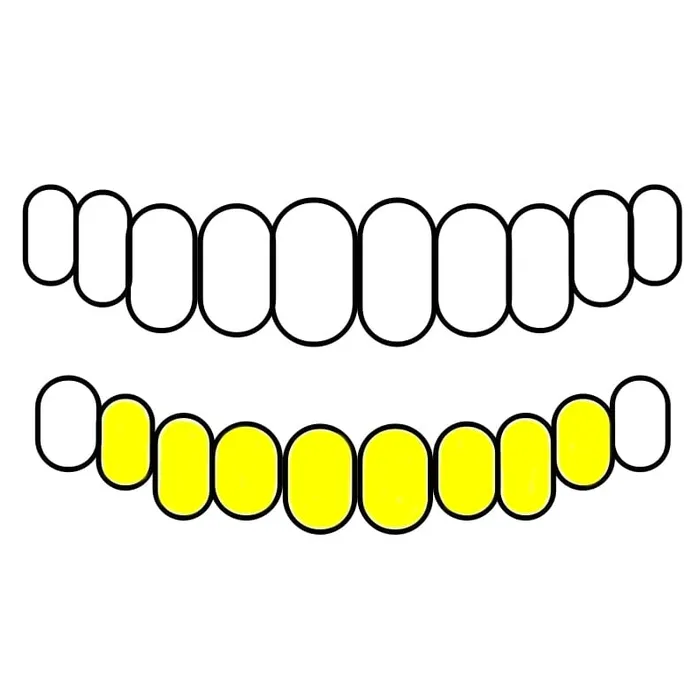 Gold Plated over 925 Silver All Open Face Custom Grillz Bling Cartel Admin Rings