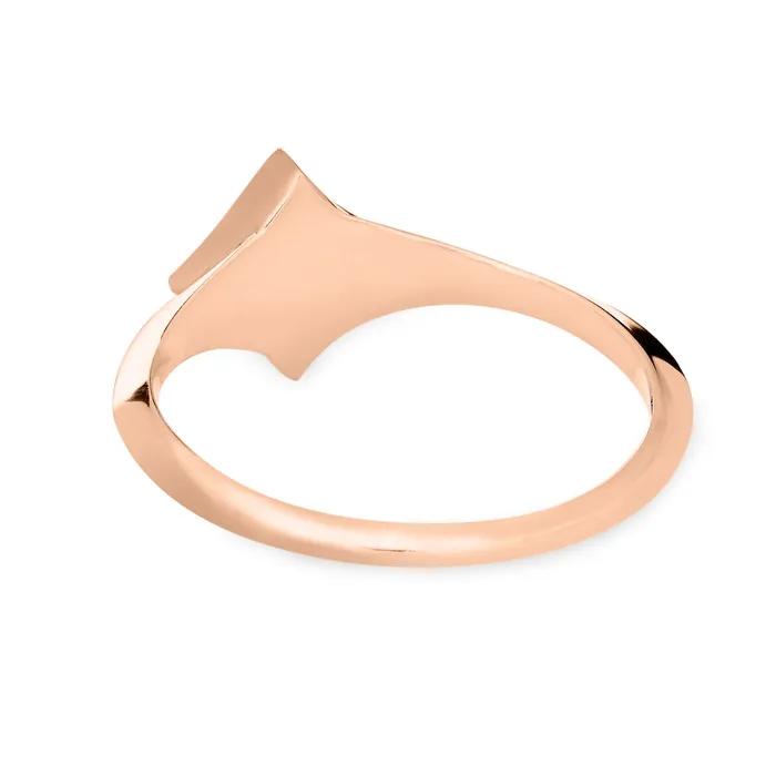 Rings closebymejewelry Luminary Cremation Ring in 14K Rose Gold