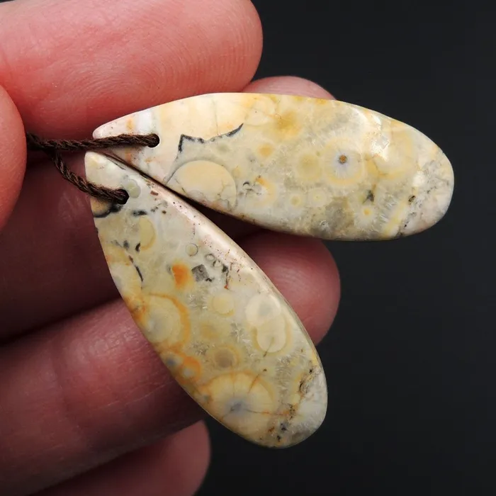 Intrinsic Trading Earrings Natural Galaxy Jasper Earring Pair Teardrop Cabochon Cab Pair Drilled Matched Earrings Bead Pair Natural Stone E2736
