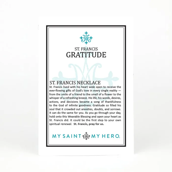 My Saint My Hero St Francis Necklace Necklaces